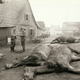 Illustration for article titled These Previously Unseen Photos Bear Witness to the Carnage of World War II